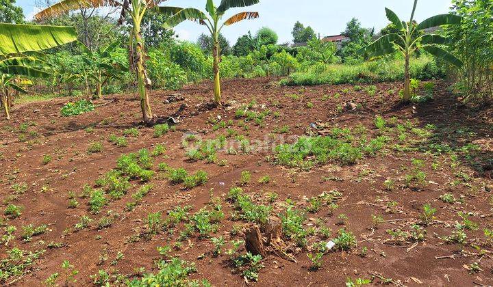 Di Jual Tanah Murah Di Tembalang Dekat Undip & Unimus 1