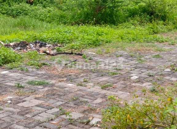 Di Jual Tanah Premium di Kedungmundu Dekat Unimus 1