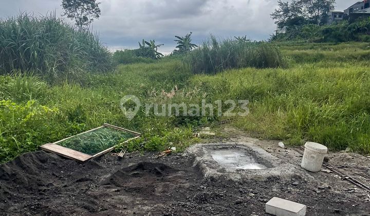 Di Jual Tanah Premium Murah di Sendangmulyo Dekat Unimus 1