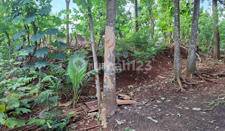 Premium Land for Sale in Tembalang, Near Undip 2