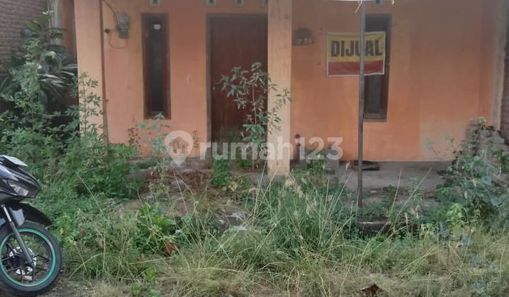 Di Jual Murah Tanah Bonus Bangunan Di Tembalang Dekat Undip 1