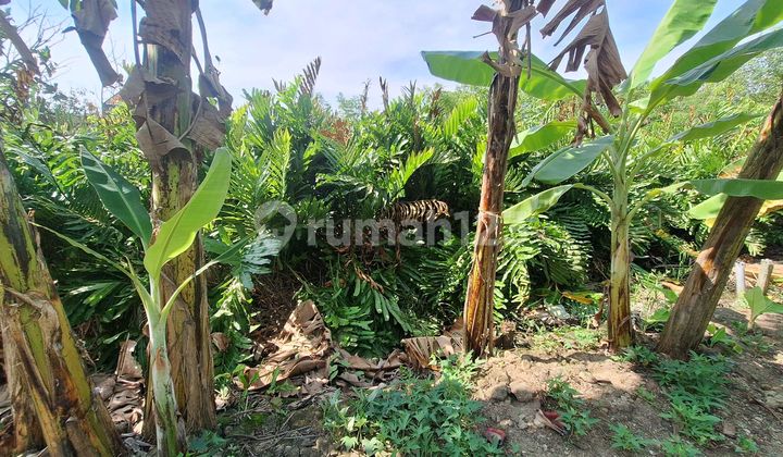 Di Jual Tanah Siap Bangun di Perum Dolog Pedurungan 1