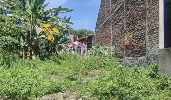 Di Jual Tanah Premium Di Amposari Gemah Dekat Unimus 1