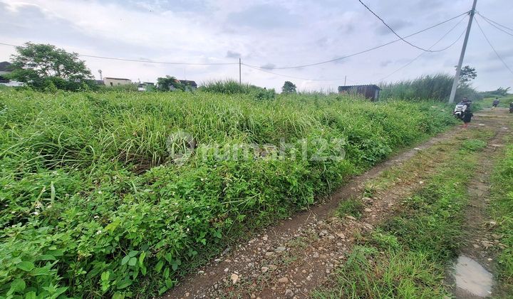 Premium Cheap Land for Sale in Sendangmulyo Near Unimus 2