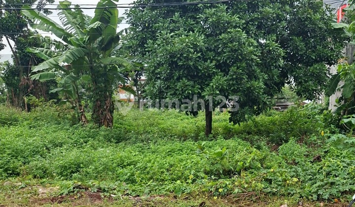 For Sale Premium Build-Ready Land in Tembalang Near Undip For Sale Premium Build-Ready Land in Tembalang Near Undip