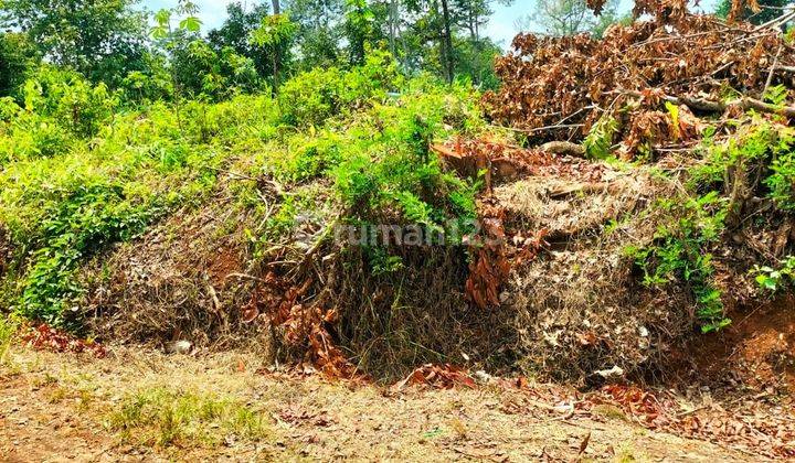 DI JUAL TANAH MURAH DI TEMBALANG DEKAT UNDIP 2