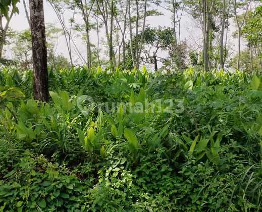 Di Jual Tanah Siap Bangun Di Tembalang Dekat Undip 2
