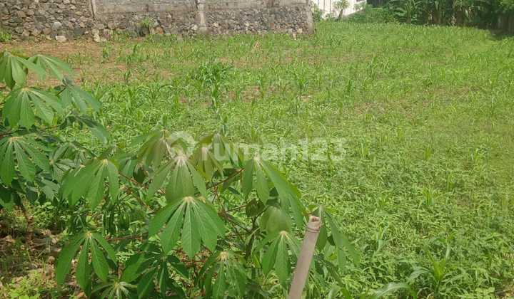 For Sale Premium Land In Sendangmulyo Near Unimus 1