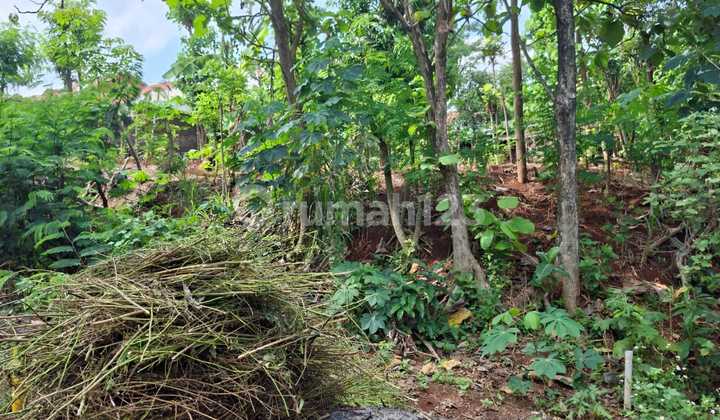 Premium Land for Sale in Tembalang, Near Undip 1