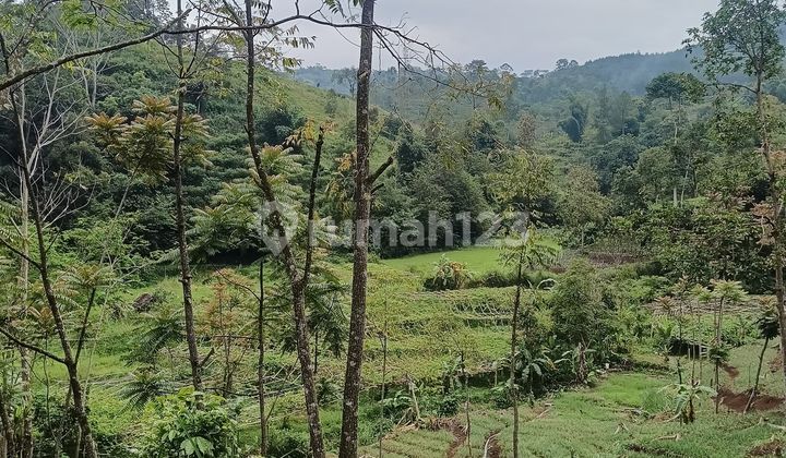 HOT SALE!!! Jual Tanah Ciwidey Gambung - Investasi Potensi Wisata Tinggi HOT SALE!!! Jual Tanah Ciwidey Gambung - Investasi Potensi Wisata Tinggi