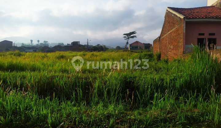 Strategic Land for Sale in Omah Garut – Convenient Location near Garut City Strategic Land for Sale in Omah Garut – Convenient Location near Garut City
