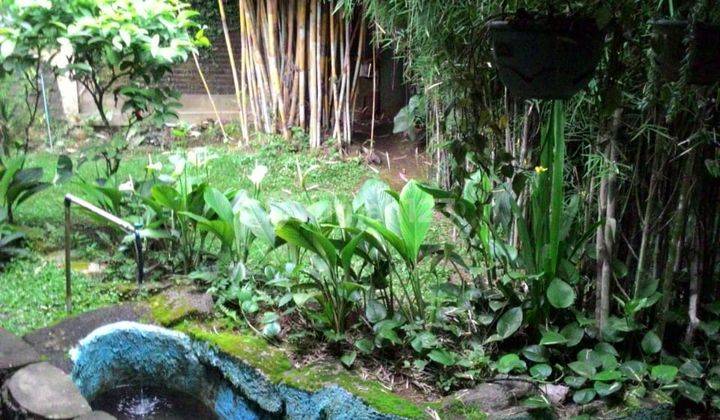 Rumah Dengan Konsep Villa Dekat Dengan Alun Alun Wonosobo 15