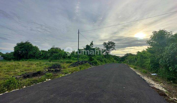 Tanah Siap Bangun Akses Jalan Aspal 10 Meter di Ubung 1