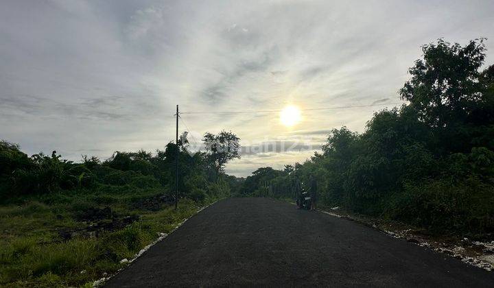 Tanah Siap Bangun Akses Jalan Aspal 10 Meter di Ubung 4