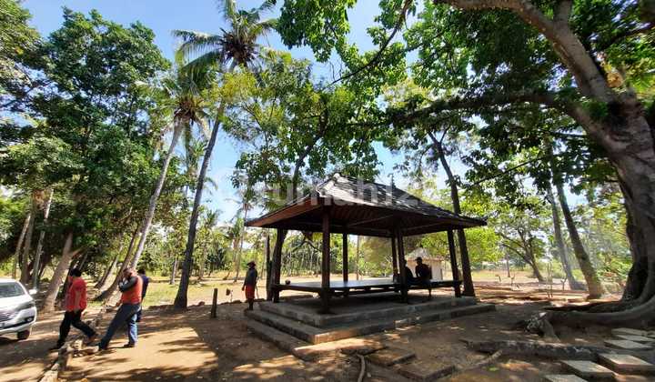 Tanah Di Buleleng Bali Utara Cocok Untuk Hotel Dan Villa