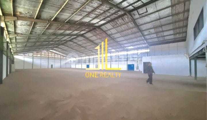 Ready-to-Use Good Warehouse, Flood-Free, Sensual Price