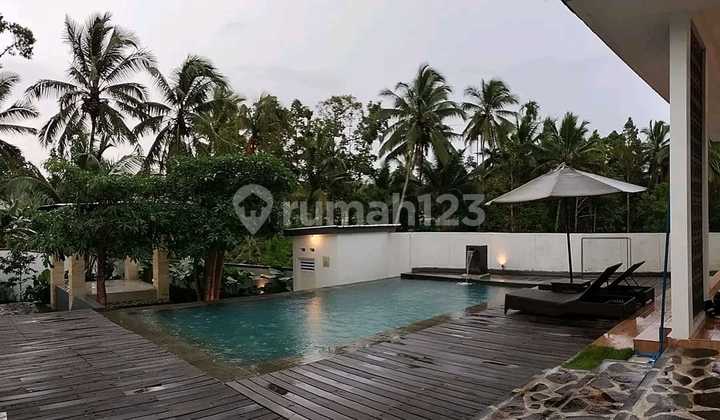 Villa Mewah di Kawasan Adem dan Asri di Kaki Gunung Ijen Banyuwangi Villa Mewah di Kawasan Adem dan Asri di Kaki Gunung Ijen Banyuwangi