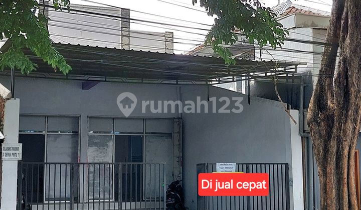 Quick Sale Roadside Shop-House with 300 Square Meters of Land. 1