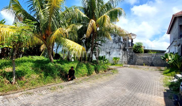 Jual Tanah Kavling Siap Bangun Ber IMB Dalam Perumahan Elite Pinggir Jalan Dekat Polres Banyuwangi Jual Tanah Kavling Siap Bangun Ber IMB Dalam Perumahan Elite Pinggir Jalan Dekat Polres Banyuwangi
