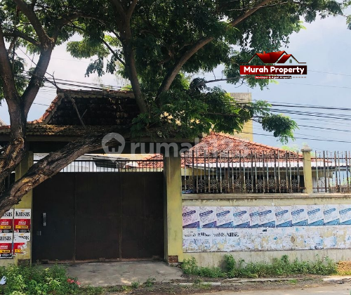 Dijual Tanah Pinggir Jalan Utama Banyuwangi Jawatimur 1