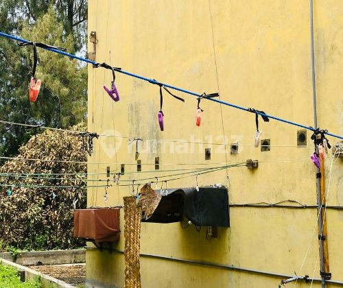 Dijual Tanah Pinggir Jalan Utama Banyuwangi Jawatimur 2