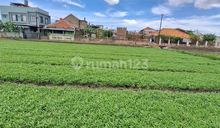 The Matang Margahayu Margasari land is suitable for a housing cluster. The Matang Margahayu Margasari land is suitable for a housing cluster.