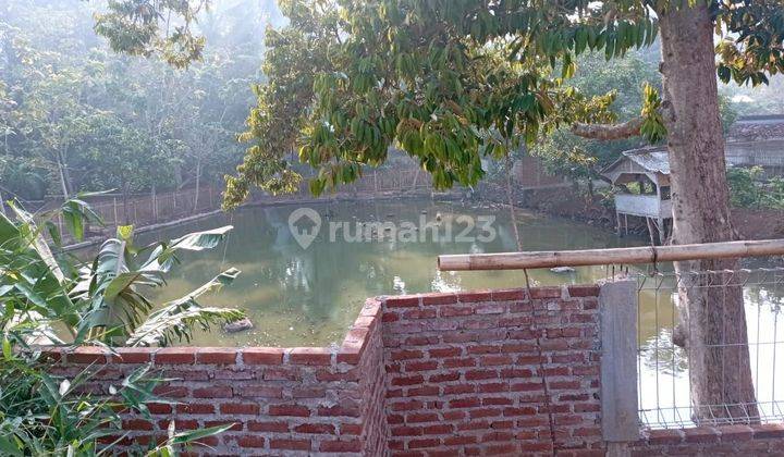 Tanah Empang Cocok Untuk Kolam Ikan Atau Di Bangun Tempat Tinggal 2