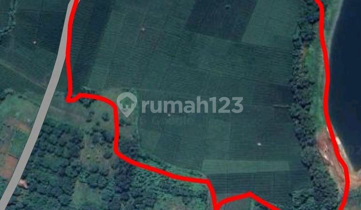 Active Rice Field Land Near Subang Smartpolitan