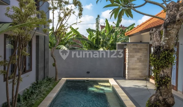 Disewakan Villa Di Canggu Bali Siap Huni Full Furnished