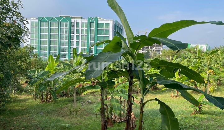 Dijual Tanah di Dekat Unimus Cocok untuk Kost2an 2