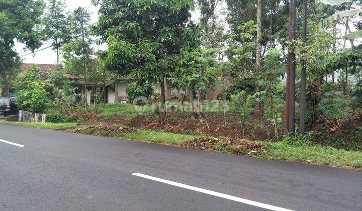 Jual Tanah Pinggir Jalan Raya Di Kendal Shm 1