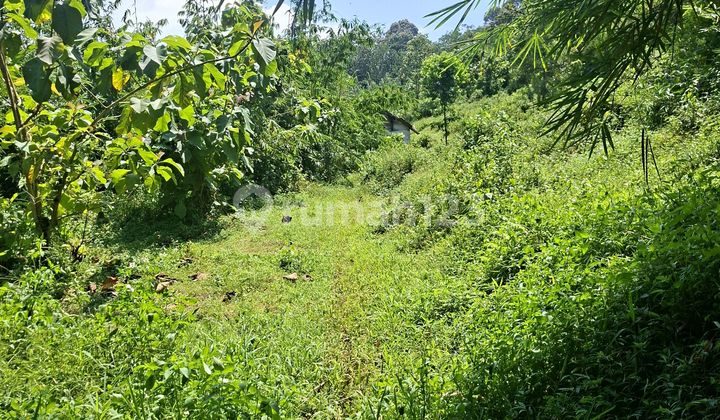 Tanah di Mijen bisa untuk Perumahan, Resto Nuansa Alam 1