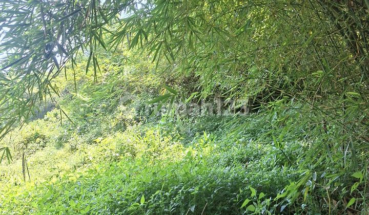 Tanah di Mijen bisa untuk Perumahan, Resto Nuansa Alam 2