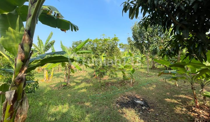 Dijual Tanah di Dekat Unimus Cocok untuk Kost2an 1