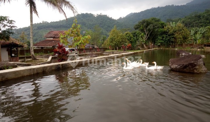 Villa Dijual di Tanjung Siang Subang, Untuk Mancing 1