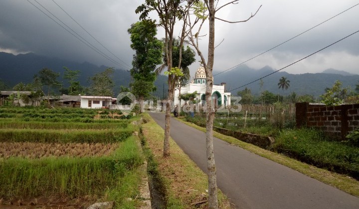 Villa Dijual di Tanjung Siang Subang, Untuk Mancing 4