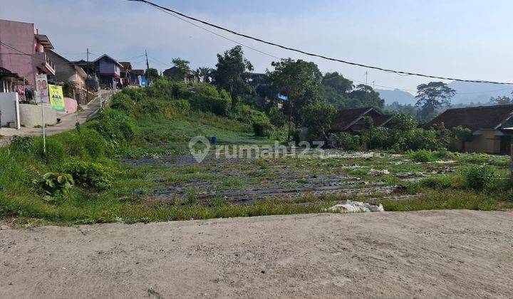 Tanah Dijual Cibogo Lembang Posisi Hook Hadap Utara Dan Barat 1