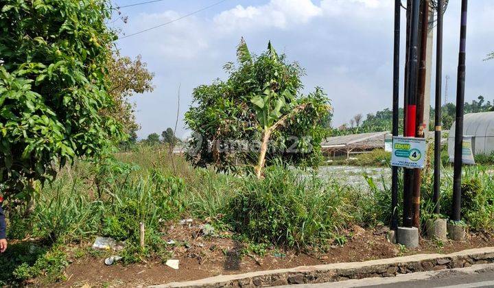 Tanah Dijual Jl Raya Ngamprah Cisarua Km 2 Padalarang S 2