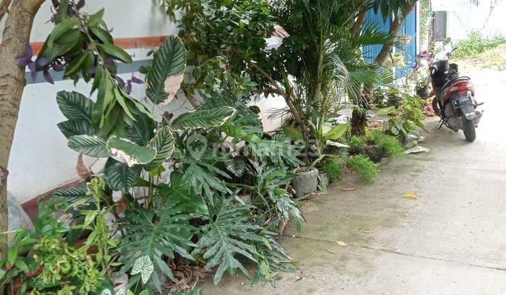 Ruko di Persimpangan Taman Krakatau Harga Miring 3