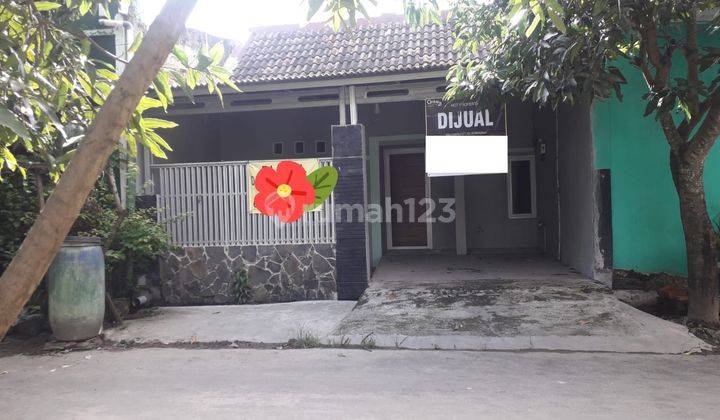 Hunian Dibawah 200jt Banten Indah Permai Nego Halus 1