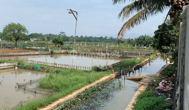 Tanah Murah Di Ciseeng  2