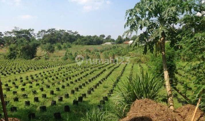 Dijual Tanah LT 9 hectare Tanah Siap Bangun Lokasi Strategis Di Jonggol Bogor  1