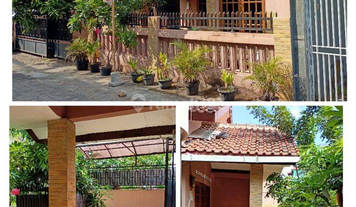 Rumah Induk Plus Kost Di Maguwoharjo  2