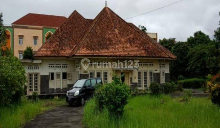 Rumah Etnik Dalam Kota Yogyakarta 2