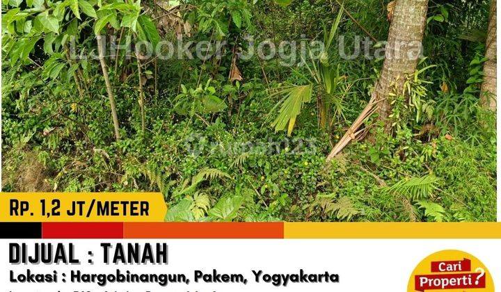 Tanah Pertanian di Jalan Boyong Pakem  1