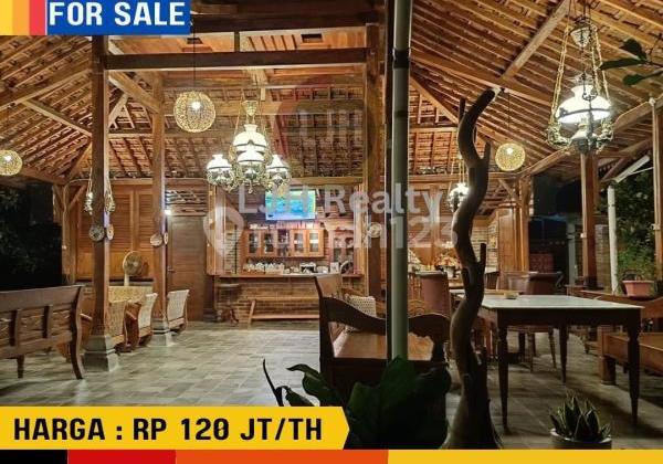 Ready-to-Use Cafe Including Kitchen Equipment and Tables and Chairs Ready-to-Use Cafe Including Kitchen Equipment and Tables and Chairs