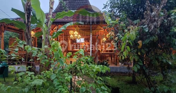 Ready-to-Use Cafe Including Kitchen Equipment and Tables and Chairs Ready-to-Use Cafe Including Kitchen Equipment and Tables and Chairs