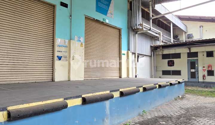 Jual Cepat Ex Pabrik Jelly Jatake Pasar Kemis 2