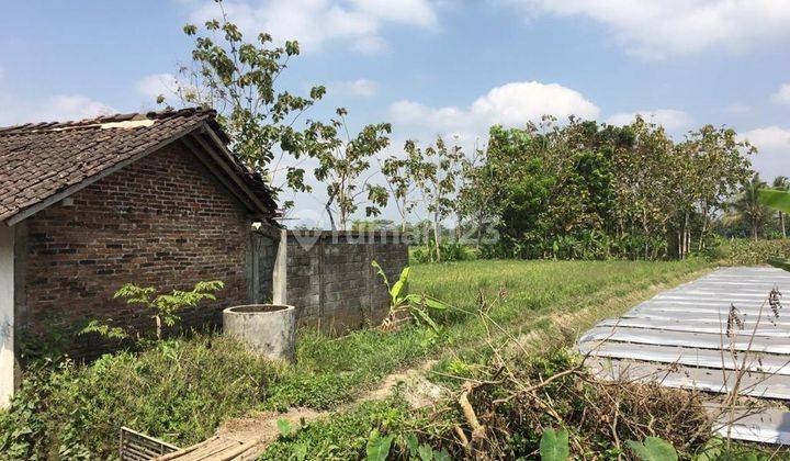 Dijual cepat tanah SHM sawah harga murah di mungkid Magelang dekat candi Borobudur  2