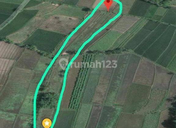 Dijual cepat tanah SHM sawah harga murah di mungkid Magelang dekat candi Borobudur  8